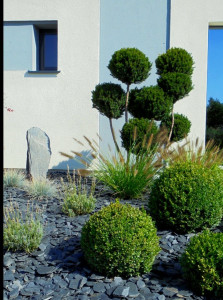 Photo de galerie - . 