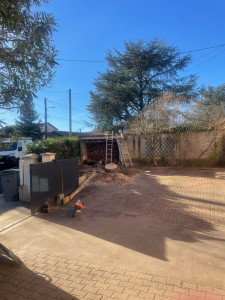 Photo de galerie - Résineux,, abattue complètement