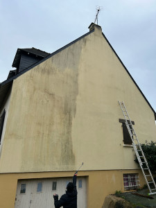 Photo de galerie - Traitement anti dépôts verts et anti mousse sur façade 