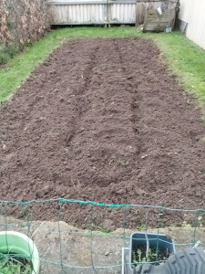 Photo de galerie - Jardinier