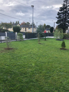 Photo de galerie - Plantation d’arbres 