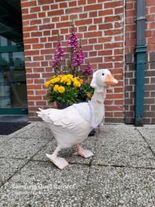 Photo de galerie - Oie grandeur nature en papier mâché 