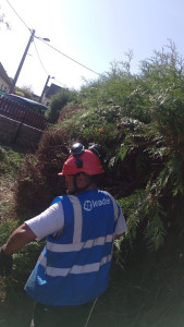 Photo de galerie - Retrait de toute les haies et d'arbustes 