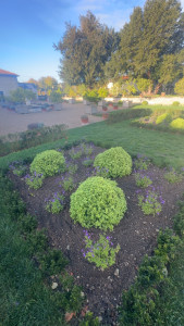 Photo de galerie - Massif