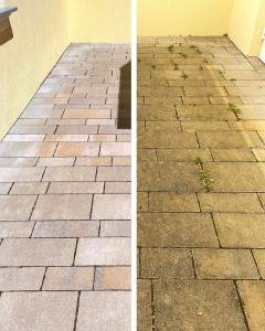 Photo de galerie - Jardinier