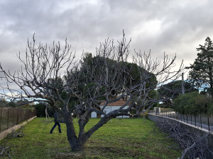 Photo de galerie - Après 