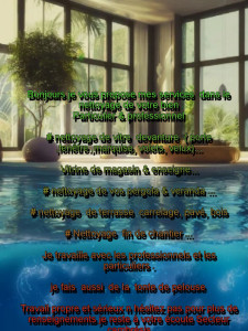 Photo de galerie - Laveur de vitre pergola, veranda ,maison, terasse 