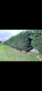 Photo de galerie - Fini ?