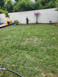 Photo de galerie - Paysagiste - Aménagement du jardin