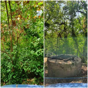 Photo de galerie - Avant/après 