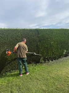 Photo de galerie - Taille de hais
