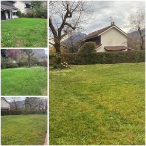 Photo de galerie - Avant / après 