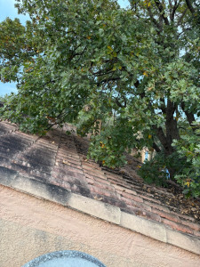 Photo de galerie - Couverture - Toiture