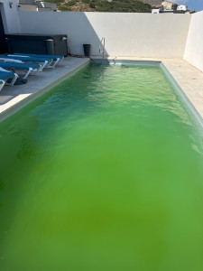 Photo de galerie - Eau verte à bleu en quelques heure et limpide en 3 J 