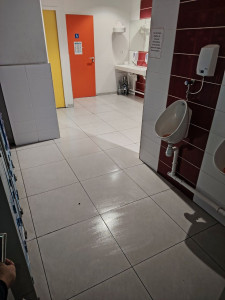 Photo de galerie -  j’effectue le nettoyage et la désinfection des toilettes et des sols à l’aide de produits professionnels spécifiques
Cette prestation s’inscrit dans nos services d’entretien régulier pour les entreprises, établissements publics et particuliers.