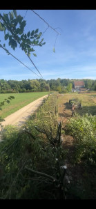 Photo de galerie - Taille haies débroussaillage tontes 