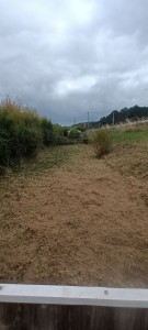 Photo de galerie - Tonte de pelouse - Débroussaillage