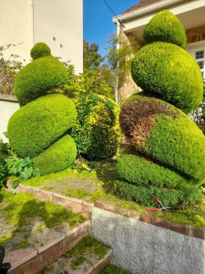 Photo de galerie - Taille a la cisaille