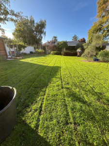 Photo de galerie - Tonte 