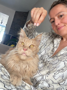 Photo de galerie - Garde chat