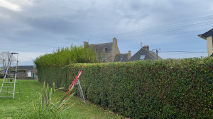 Photo de galerie - Taille 