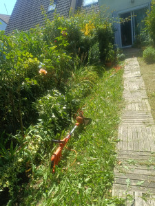 Photo de galerie - Début du chantier 