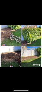 Photo de galerie - Abattage 