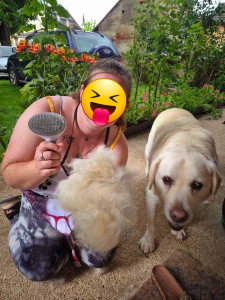 Photo de galerie - Toilettage animalier 

pas de coupes spécifiques 

tonte complète, débourrage, dégagement des coussinets, coupe griffes, nettoyage des yeux, nettoyage des conduits auditifs, lavage, séchage 
matériel et produits professionnels 