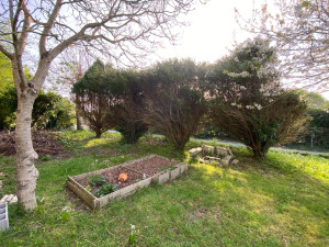 Photo de galerie - Elagage et coupe d'arbres