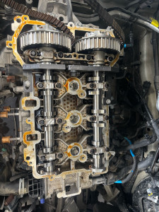 Photo de galerie - Distribution 