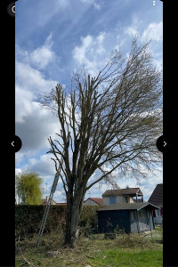 Photo de galerie - Paysagiste - Aménagement du jardin