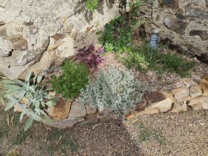 Photo de galerie - Paysagiste - Aménagement du jardin