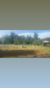 Photo de galerie - Jardin / Espace vert