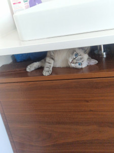 Photo de galerie - Je craque sur Yuma : trop trop belle