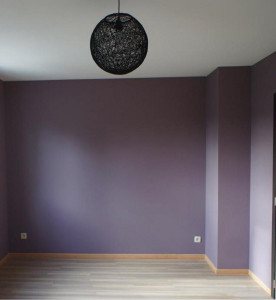 Photo de galerie - Pose de luminaire et peinture 