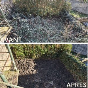 Photo de galerie - Débroussaillage complet d’un roncier ayant envahi l’intégralité du terrain.
Intervention sur zone difficile d’accès, sans servitude, avec passage par la maison pour l’évacuation des déchets.
Déracinement complet des ronces, retournement de la terre et ter