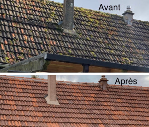 Photo de galerie - Nettoyage toiture 