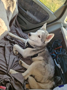 Photo de galerie - Là c'est timmy que je garde quelque fois