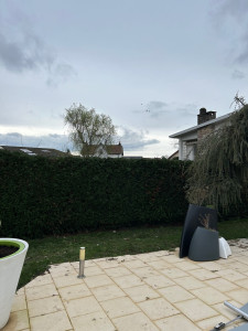 Photo de galerie - Taille de haie 