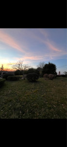 Photo de galerie - Taille