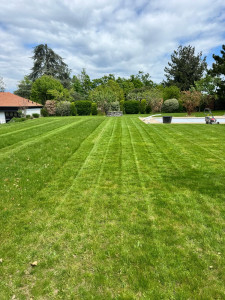 Photo de galerie - Entretien gazon