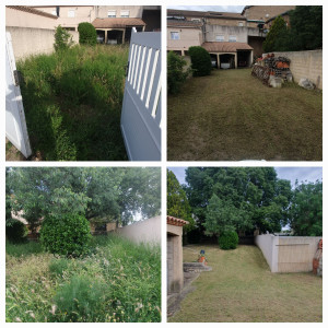 Photo de galerie - Entretient de jardin, débrouissallage taille et tonte