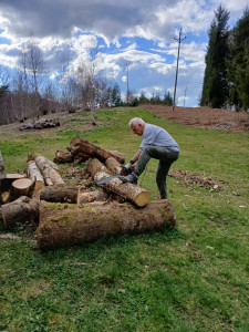 Photo de galerie - Coupe de bois
