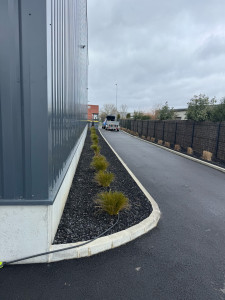 Photo de galerie - Mise au propre 