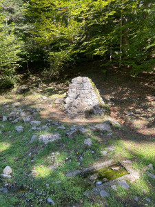 Photo de galerie - Débroussailler 