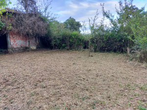 Photo de galerie - Gros travaux de débroussaillage sur cette parcelle de 3000 mètres carrés qui n'avait pas été travaillé depuis 10 ans