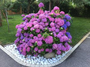 Photo de galerie - Paysagiste - Aménagement du jardin