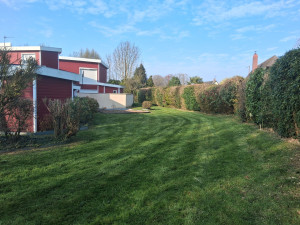 Photo de galerie - Tonte de pelouse - Débroussaillage