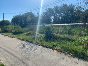 Photo de galerie - Tonte de pelouse - Débroussaillage