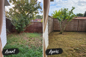 Photo de galerie - Mise à jour d’un petit jardin sur Merignac. 